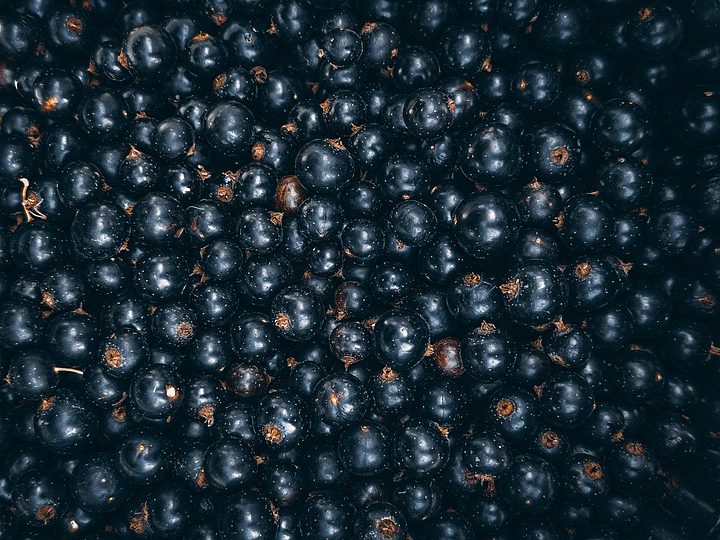 Blackcurrants recipe